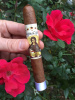 Regina Cigars Honduran Collection - "Gabriel" Habano Wrapper